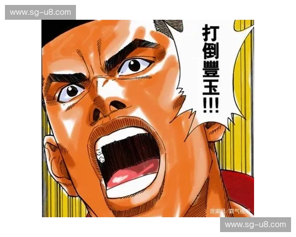 燃魂之战，青春不败：湘北对决丰玉，一场注定载入史册的对决